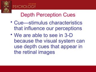 Depth Perception Cues
• Cue—stimulus characteristics
that influence our perceptions
• We are able to see in 3-D
because the visual system can
use depth cues that appear in
the retinal images
 