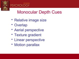 Monocular Depth Cues
• Relative image size
• Overlap
• Aerial perspective
• Texture gradient
• Linear perspective
• Motion parallax
 