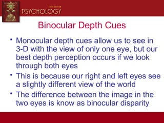 Binocular Depth Cues
• Monocular depth cues allow us to see in
3-D with the view of only one eye, but our
best depth perception occurs if we look
through both eyes
• This is because our right and left eyes see
a slightly different view of the world
• The difference between the image in the
two eyes is know as binocular disparity
 