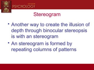 Stereogram
• Another way to create the illusion of
depth through binocular stereopsis
is with an stereogram
• An stereogram is formed by
repeating columns of patterns
 