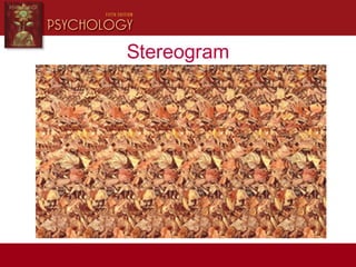 Stereogram
 