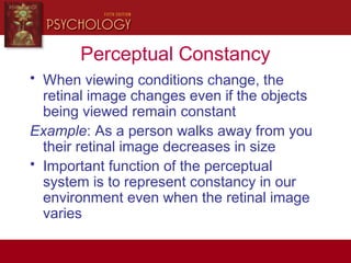 Perceptual Constancy
• When viewing conditions change, the
retinal image changes even if the objects
being viewed remain constant
Example: As a person walks away from you
their retinal image decreases in size
• Important function of the perceptual
system is to represent constancy in our
environment even when the retinal image
varies
 
