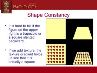 Shape Constancy
• It is hard to tell if the
figure on the upper
right is a trapezoid or
a square slanted
backward.
• If we add texture, the
texture gradient helps
us see that it is
actually a square
 