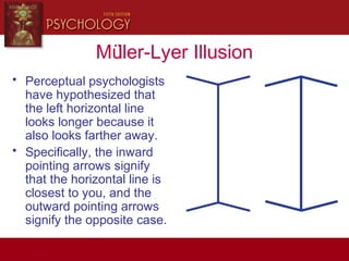 Müller-Lyer Illusion
• Perceptual psychologists
have hypothesized that
the left horizontal line
looks longer because it
also looks farther away.
• Specifically, the inward
pointing arrows signify
that the horizontal line is
closest to you, and the
outward pointing arrows
signify the opposite case.
 