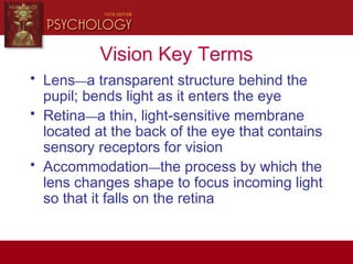 Vision Key Terms
• Lens—a transparent structure behind the
pupil; bends light as it enters the eye
• Retina—a thin, light-sensitive membrane
located at the back of the eye that contains
sensory receptors for vision
• Accommodation—the process by which the
lens changes shape to focus incoming light
so that it falls on the retina
 
