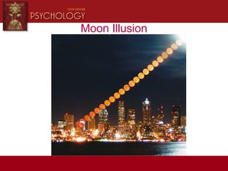 Moon Illusion
 