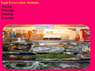 food preservation class vi cbse