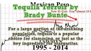 Tequila Terroir by Brady Bunte