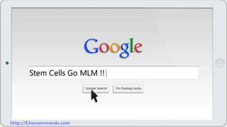 Stem Cells Go MLM !!