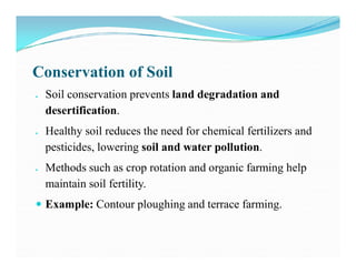 ppt-6-prevention-of-environmental-pollution-through-conservation-pdf