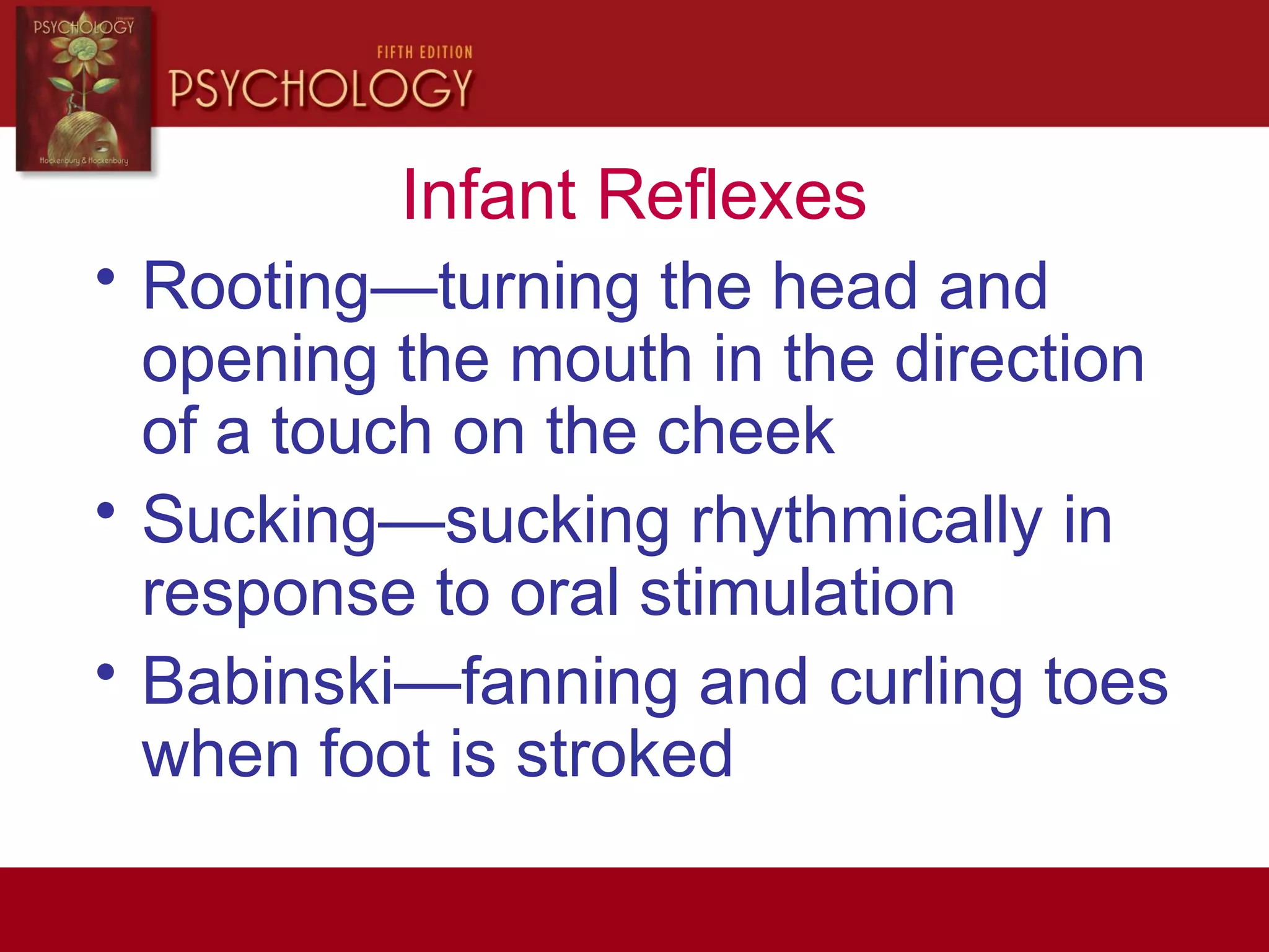 Infant Reflexes
• Rooting—turning the head and
opening the mouth in the direction
of a touch on the cheek
• Sucking—sucking rhythmically in
response to oral stimulation
• Babinski—fanning and curling toes
when foot is stroked
 