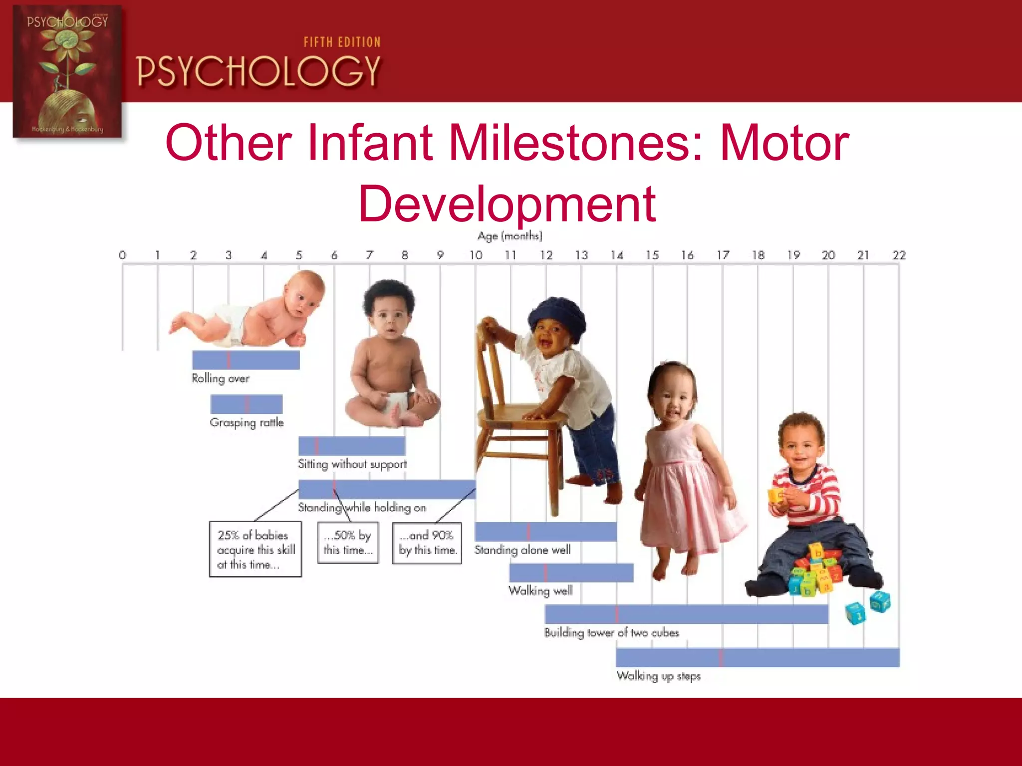 Other Infant Milestones: Motor
Development
 