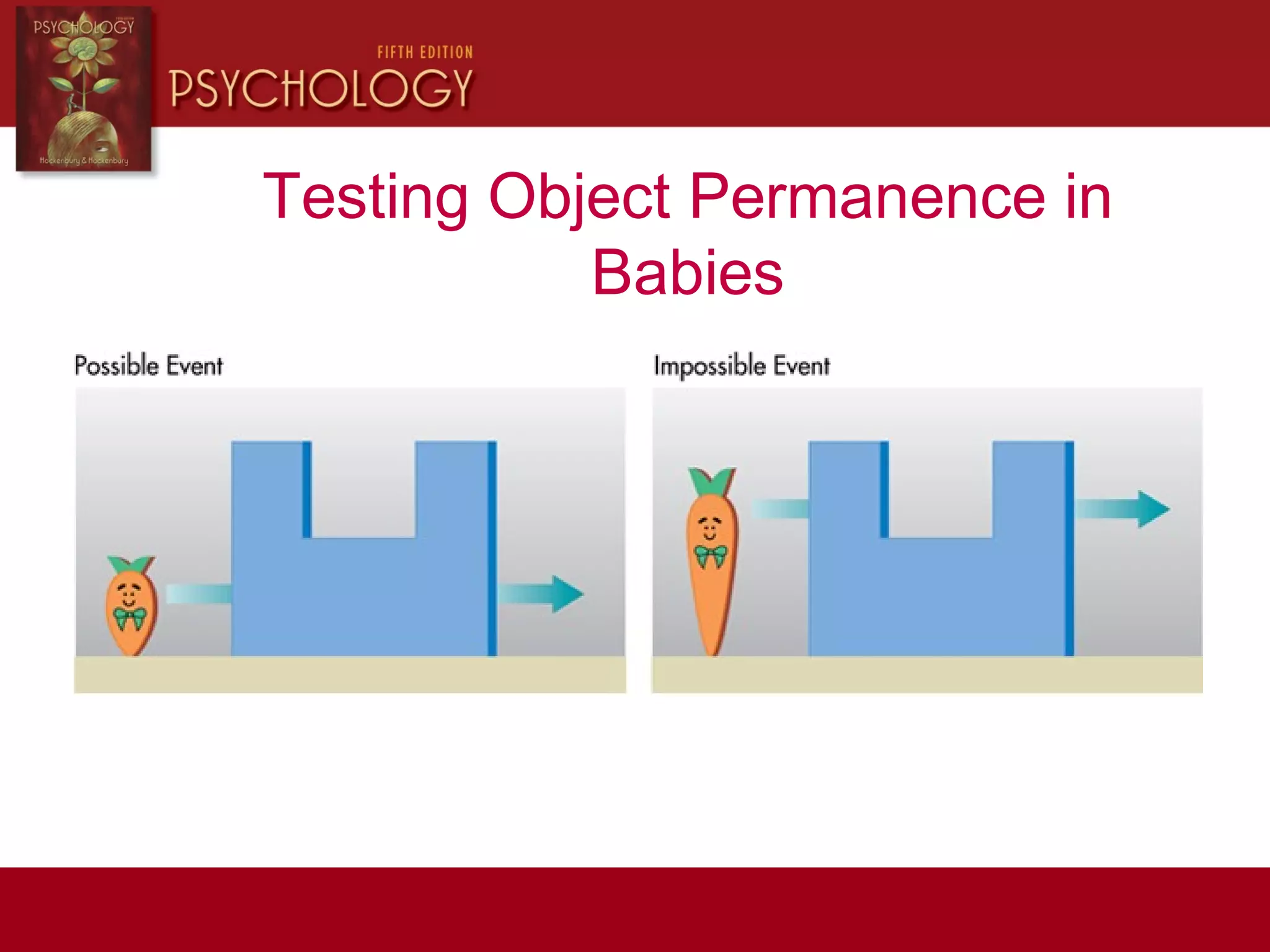 Testing Object Permanence in
Babies
 