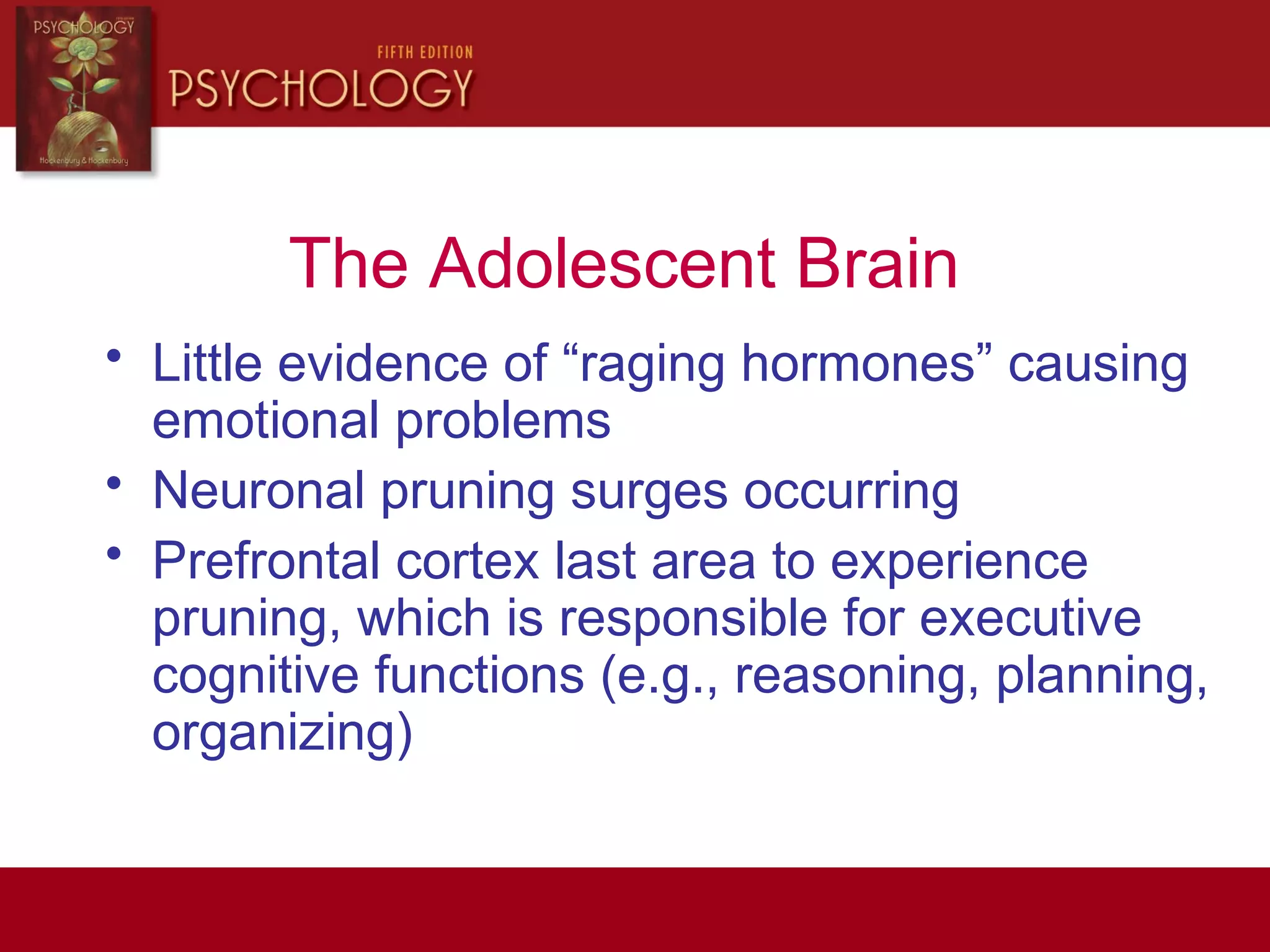 The Adolescent Brain
• Little evidence of “raging hormones” causing
emotional problems
• Neuronal pruning surges occurring
• Prefrontal cortex last area to experience
pruning, which is responsible for executive
cognitive functions (e.g., reasoning, planning,
organizing)
 