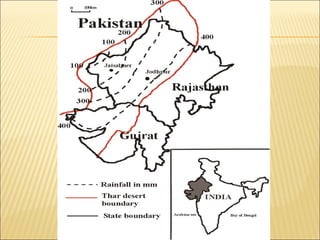 Rajastan canal or indira Ghandi canal project ppt | PPT