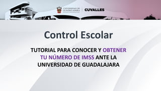 Control Escolar
TUTORIAL PARA CONOCER Y OBTENER
TU NÚMERO DE IMSS ANTE LA
UNIVERSIDAD DE GUADALAJARA
 
