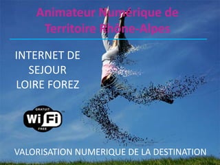 Animateur Numérique de
     Territoire Rhône-Alpes
INTERNET DE
  SEJOUR
LOIRE FOREZ




VALORISATION NUMERIQUE DE LA DESTINATION
 