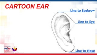 CARTOON EAR
 