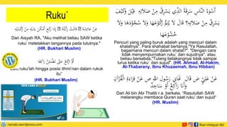 Ruku`
َ‫ة‬َ
‫ش‬‫ي‬‫ائ‬َ
‫ع‬ ْ
‫ن‬َ
‫ع‬
ُ‫ه‬ُ‫ت‬ْ‫َي‬‫أ‬َ
‫ر‬ ْ
‫ت‬َ‫ل‬‫ا‬َ‫ق‬
‫ي‬
‫م‬ ‫ي‬
‫ه‬ْ‫ي‬َ
‫د‬َ‫ي‬ َ
‫ن‬َ
‫ك‬ْ
‫َم‬‫أ‬ َ
‫ع‬َ
‫ك‬
َ
‫ر‬ ‫ا‬َ
‫ذ‬‫ي‬‫إ‬
‫ي‬
‫ه‬ْ‫ي‬َ‫ت‬َ‫ب‬ْ
‫ك‬
ُ
‫ر‬ ْ
‫ن‬
Dari Aisyah RA, "Aku melihat beliau SAW ketika
ruku’ meletakkan tangannya pada lututnya."
(HR. Bukhari Muslim)
‫ا‬ً
‫ع‬‫ي‬‫اك‬َ
‫ر‬ َّ
‫ن‬‫ي‬‫ئ‬َ
‫م‬ْ‫ط‬َ‫ت‬ َّ
‫َّت‬َ
‫ح‬ ْ
‫ع‬َ
‫ك‬
ْ
‫ار‬ َُّ
‫ُث‬
“Lalu ruku’lah hingga posisi ithmi’nan dalam rukuk
itu”
(HR. Bukhari Muslim)
‫ي‬
‫م‬ ُ
‫ق‬‫ي‬
‫ر‬ْ
‫س‬َ‫ي‬ ‫ي‬‫ي‬
‫الذ‬ ً‫ة‬َ‫ق‬‫ي‬
‫ر‬َ
‫س‬ ‫ي‬
‫َّاس‬‫ن‬‫ال‬ ُ‫ء‬َ
‫و‬ْ
‫َس‬‫أ‬
َ
‫ف‬ْ‫ي‬َ
‫ك‬َ
‫و‬ َ
‫ل‬ْ‫ي‬‫ي‬‫ق‬ ‫ي‬
‫ه‬‫ي‬‫ت‬َ‫ال‬َ
‫ص‬ ْ
‫ن‬
َ‫ال‬َ
‫و‬ ‫ا‬َ
‫ه‬َ
‫د‬ْ
‫و‬ُ
‫ج‬ُ
‫س‬ َ‫ال‬َ
‫و‬ ‫ا‬َ
‫ه‬َ
‫ع‬ْ
‫و‬ُ
‫ك‬
ُ
‫ر‬ ُّ
ُ‫ي‬‫ت‬ُ‫ي‬ َ‫ال‬ َ
‫ال‬َ‫ق‬ ‫؟‬‫ي‬
‫ه‬‫ي‬‫ت‬َ‫ال‬َ
‫ص‬ ْ
‫ن‬‫ي‬
‫م‬ ُ
‫ق‬‫ي‬
‫ر‬ْ
‫س‬َ‫ي‬
‫ا‬َ
‫ه‬َ
‫ع‬ْ
‫و‬ُ
‫ش‬ُ
‫خ‬
Pencuri yang paling buruk adalah yang mencuri dalam
shalatnya". Para shahabat bertanya,"Ya Rasulallah,
bagaimana mencuri dalam shalat?". "Dengan cara
tidak menyempurnakan ruku` dan sujudnya". atau
beliau bersabda,"Tulang belakangnya tidak sampai
lurus ketika ruku` dan sujud". (HR. Ahmad, Al-Hakim,
At-Thabarany, Ibnu Khuzaemah, Ibnu Hibban)
‫ي‬َّ
‫اّلل‬ ‫ول‬ُ
‫س‬َ
‫ر‬ ‫ي‬
‫اِن‬ََ
‫َن‬ ‫ال‬َ‫ق‬ ‫ض‬ ٍ
‫ي‬‫ي‬‫ل‬َ
‫ع‬ ْ
‫ن‬َ
‫ع‬
‫ي‬
‫آن‬ْ
‫ر‬ُ
‫ق‬ْ‫ل‬‫ا‬ ‫ي‬
‫ة‬َ‫اء‬َ
‫ر‬‫ي‬‫ق‬ ْ
‫ن‬َ
‫ع‬ ‫ص‬
ٌ
‫د‬ ‫ي‬
‫اج‬َ
‫س‬ ْ
‫َو‬‫أ‬ ٌ
‫ع‬‫ي‬‫اك‬َ
‫ر‬ َ
‫ََن‬‫أ‬َ
‫و‬
Dari Ali bin Abi Thalib r.a. berkata, “Rasulullah SAW
melarangku membaca Quran saat ruku’ dan sujud“
(HR. Muslim)
 