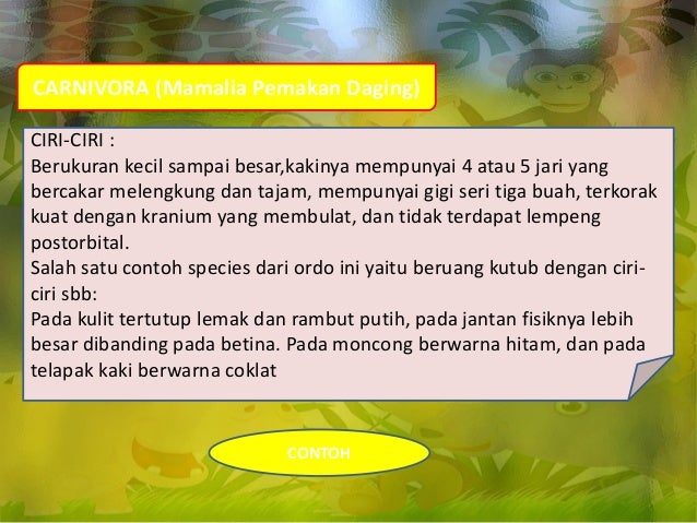 Ppt biologi mamalia