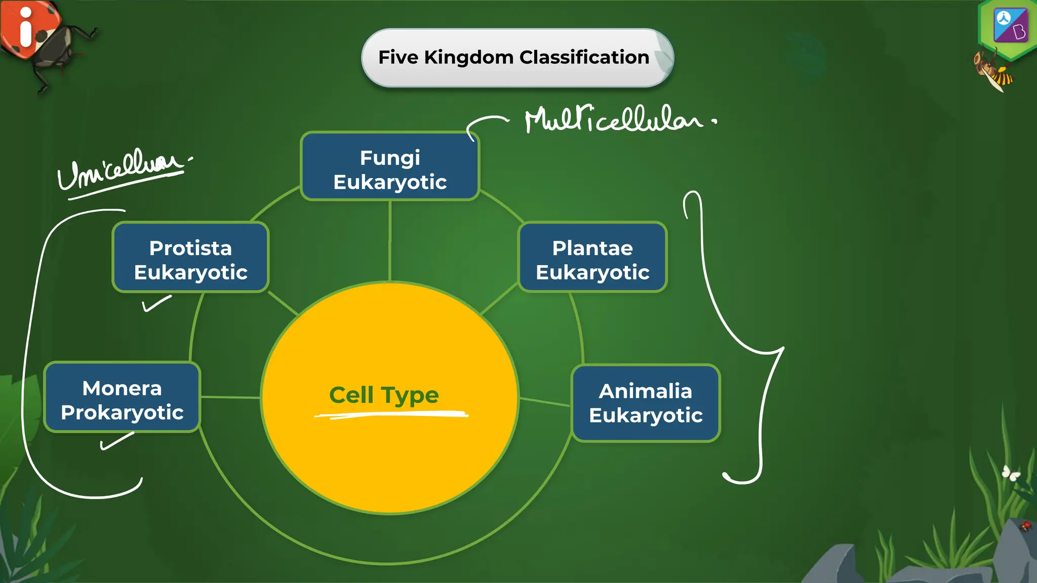 Monera prokaryotic or eukaryotic (88) foto