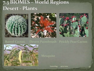 29/07/2014 13Geoecology
Prickly Pear CactusBarrel Cactus Desert Paintbrush
Mesquite
 
