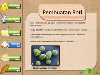PPT Interaktif- Bioteknologi Konvensional | PPTX