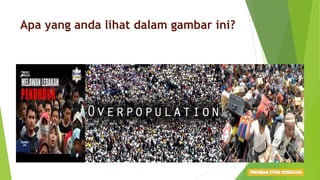 Apa yang anda lihat dalam gambar ini?
 