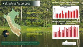 PRESENTACIÓN SOBRE EL TEMA DE LOS BOSQUES EN PERÚ. | PPTX