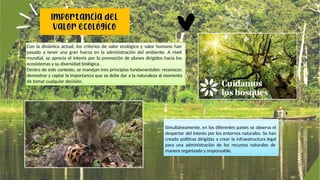 PRESENTACIÓN SOBRE EL TEMA DE LOS BOSQUES EN PERÚ. | PPTX