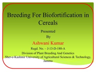 Breeding For Biofortification in
Cereals
Presented
By
Ashwani Kumar
Regd. No. – J-13-D-180-A
Division of Plant Breeding And Genetics
Sher-e-Kashmir University of Agricultural Sciences & Technology,
Jammu
 