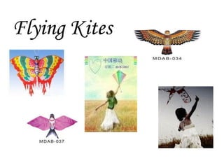 Flying Kites 
