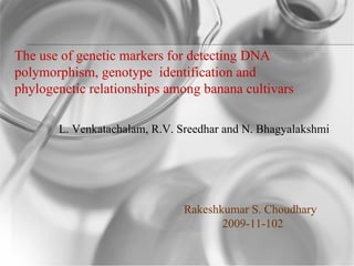 L. Venkatachalam, R.V. Sreedhar and N. Bhagyalakshmi  The use of genetic markers for detecting DNA polymorphism, genotype  identification and phylogenetic relationships among banana cultivars Rakeshkumar S. Choudhary 2009-11-102 