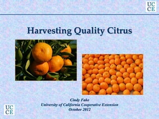 Harvesting Quality Citrus
Cindy Fake
University of California Cooperative Extension
October 2012
 