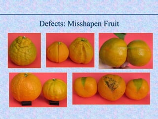 Defects: Misshapen Fruit
 