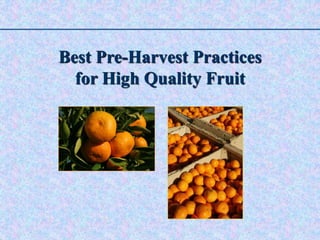 Best Pre-Harvest Practices
for High Quality Fruit
 