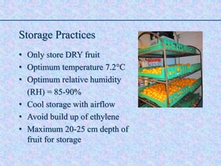 Storage Practices
• Only store DRY fruit
• Optimum temperature 7.2°C
• Optimum relative humidity
(RH) = 85-90%
• Cool storage with airflow
• Avoid build up of ethylene
• Maximum 20-25 cm depth of
fruit for storage
 
