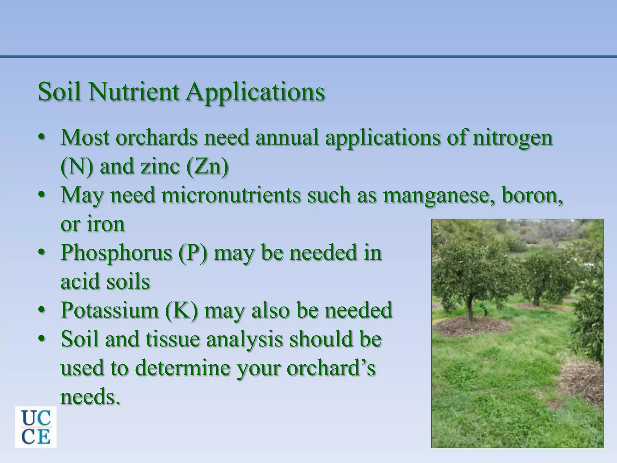 Soil Nutrient Applications
• Most orchards need annual applications of nitrogen
(N) and zinc (Zn)
• May need micronutrients such as manganese, boron,
or iron
• Phosphorus (P) may be needed in
acid soils
• Potassium (K) may also be needed
• Soil and tissue analysis should be
used to determine your orchard’s
needs.
 