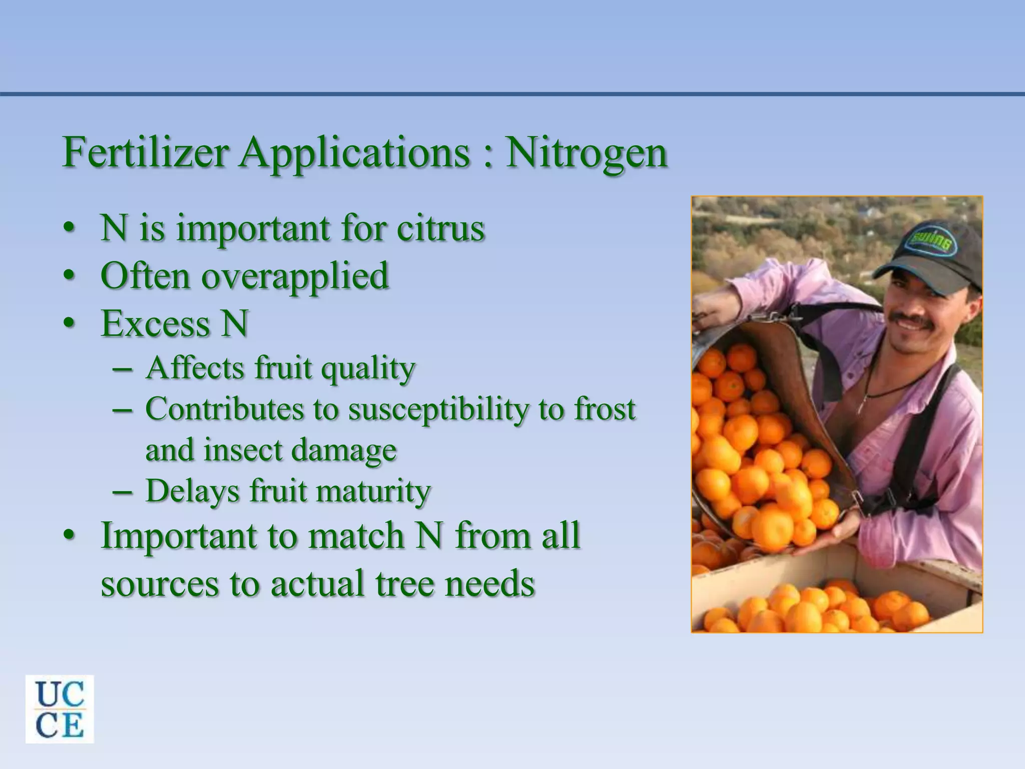 Fertilizer Applications : Nitrogen
• N is important for citrus
• Often overapplied
• Excess N
– Affects fruit quality
– Contributes to susceptibility to frost
and insect damage
– Delays fruit maturity
• Important to match N from all
sources to actual tree needs
 