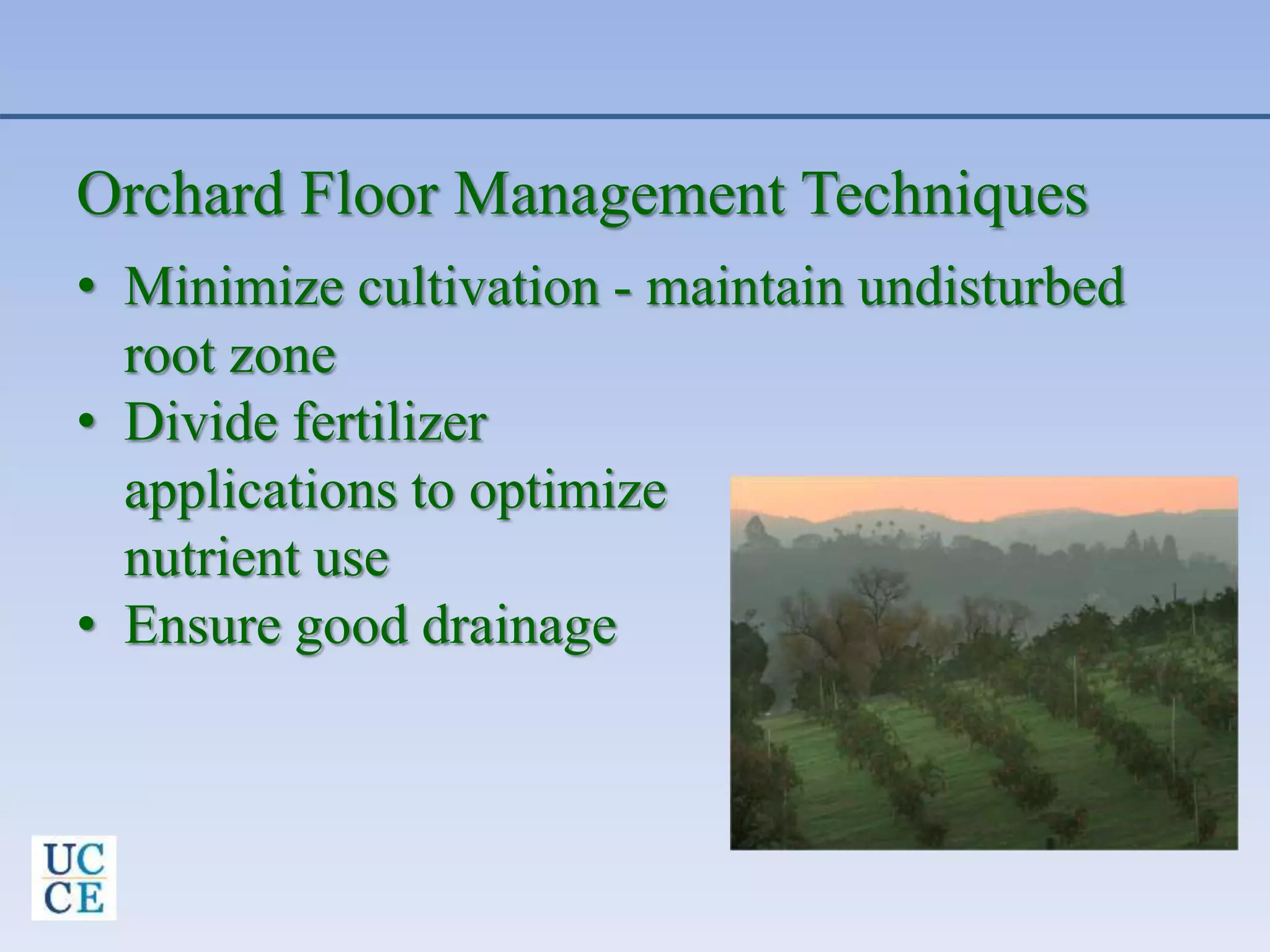 Orchard Floor Management Techniques
• Minimize cultivation - maintain undisturbed
root zone
• Divide fertilizer
applications to optimize
nutrient use
• Ensure good drainage
 