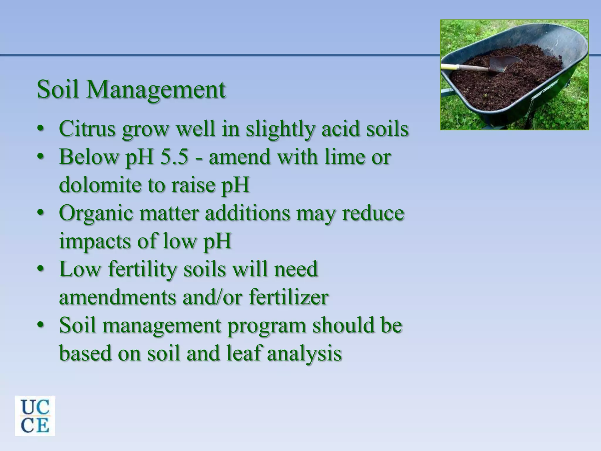 Soil Management
• Citrus grow well in slightly acid soils
• Below pH 5.5 - amend with lime or
dolomite to raise pH
• Organic matter additions may reduce
impacts of low pH
• Low fertility soils will need
amendments and/or fertilizer
• Soil management program should be
based on soil and leaf analysis
 
