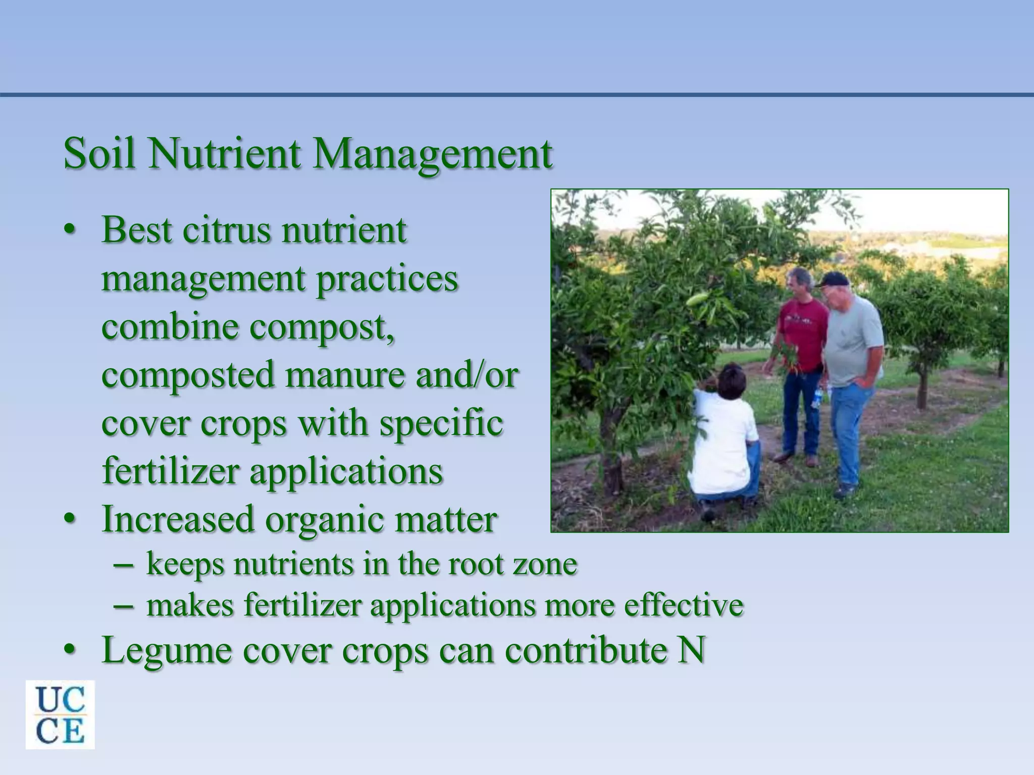Soil Nutrient Management
• Best citrus nutrient
management practices
combine compost,
composted manure and/or
cover crops with specific
fertilizer applications
• Increased organic matter
– keeps nutrients in the root zone
– makes fertilizer applications more effective
• Legume cover crops can contribute N
 