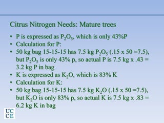 Citrus Nitrogen Needs: Mature trees
• P is expressed as P2O5, which is only 43%P
• Calculation for P:
• 50 kg bag 15-15-15 has 7.5 kg P2O5 (.15 x 50 =7.5),
but P2O5 is only 43% p, so actual P is 7.5 kg x .43 =
3.2 kg P in bag
• K is expressed as K2O, which is 83% K
• Calculation for K:
• 50 kg bag 15-15-15 has 7.5 kg K2O (.15 x 50 =7.5),
but K2O is only 83% p, so actual K is 7.5 kg x .83 =
6.2 kg K in bag
 