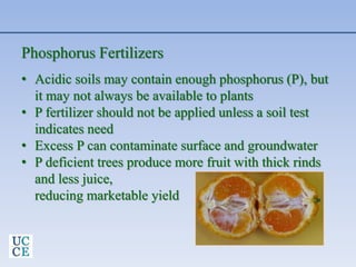 Phosphorus Fertilizers
• Acidic soils may contain enough phosphorus (P), but
it may not always be available to plants
• P fertilizer should not be applied unless a soil test
indicates need
• Excess P can contaminate surface and groundwater
• P deficient trees produce more fruit with thick rinds
and less juice,
reducing marketable yield
 