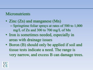 Micronutrients
• Zinc (Zn) and manganese (Mn)
– Springtime foliar sprays at rates of 500 to 1,000
mg/L of Zn and 300 to 700 mg/L of Mn
• Iron is sometimes needed, especially in
areas with drainage issues
• Boron (B) should only be applied if soil and
tissue tests indicate a need. The range is
very narrow, and excess B can damage trees.
 