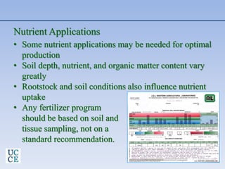 Nutrient Applications
• Some nutrient applications may be needed for optimal
production
• Soil depth, nutrient, and organic matter content vary
greatly
• Rootstock and soil conditions also influence nutrient
uptake
• Any fertilizer program
should be based on soil and
tissue sampling, not on a
standard recommendation.
 