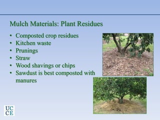 Mulch Materials: Plant Residues
• Composted crop residues
• Kitchen waste
• Prunings
• Straw
• Wood shavings or chips
• Sawdust is best composted with
manures
 