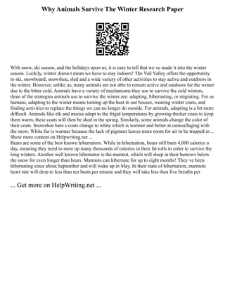 Why Animals Survive The Winter Research Paper
With snow, ski season, and the holidays upon us, it is easy to tell that we ve made it into the winter
season. Luckily, winter doesn t mean we have to stay indoors! The Vail Valley offers the opportunity
to ski, snowboard, snowshoe, sled and a wide variety of other activities to stay active and outdoors in
the winter. However, unlike us, many animals are not able to remain active and outdoors for the winter
due to the bitter cold. Animals have a variety of mechanisms they use to survive the cold winters,
three of the strategies animals use to survive the winter are: adapting, hibernating, or migrating. For us
humans, adapting to the winter means turning up the heat in our houses, wearing winter coats, and
finding activities to replace the things we can no longer do outside. For animals, adapting is a bit more
difficult. Animals like elk and moose adapt to the frigid temperatures by growing thicker coats to keep
them warm, these coats will then be shed in the spring. Similarly, some animals change the color of
their coats. Snowshoe hare s coats change to white which is warmer and better at camouflaging with
the snow. White fur is warmer because the lack of pigment leaves more room for air to be trapped in ...
Show more content on Helpwriting.net ...
Bears are some of the best known hibernators. While in hibernation, bears still burn 4,000 calories a
day, meaning they need to store up many thousands of calories in their fat rolls in order to survive the
long winters. Another well known hibernator is the marmot, which will sleep in their burrows below
the snow for even longer than bears. Marmots can hibernate for up to eight months! They ve been
hibernating since about September and will wake up in May. In their state of hibernation, marmots
heart rate will drop to less than ten beats per minute and they will take less than five breaths per
... Get more on HelpWriting.net ...
 