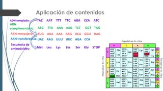 PPT-COMPL-Guia-2-Biología-ADN.pdf PRESEN | PDF