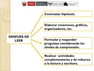 Formular y responder
preguntas considerando los
niveles de comprensión.
Contrastar hipótesis.
Realizar actividades
complementarias y de refuerzo
a la lectura y escritura.
Elaborar resúmenes, gráficos,
organizadores, etc.
DESPUÉS DE
LEER
 
